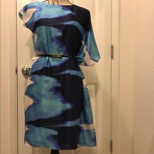 Vince Camuto Shift Dress w/ Dolman Sleeve